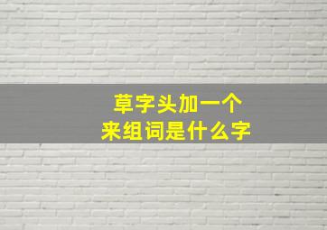 草字头加一个来组词是什么字