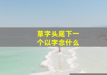 草字头底下一个以字念什么