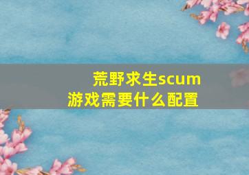 荒野求生scum游戏需要什么配置