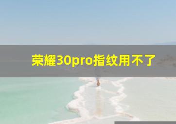 荣耀30pro指纹用不了