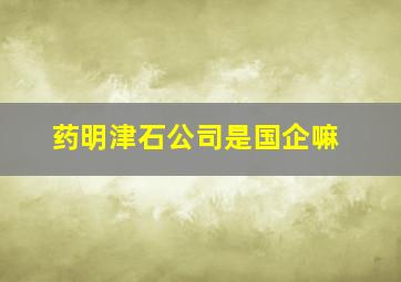 药明津石公司是国企嘛