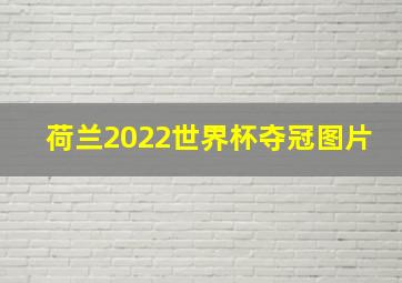 荷兰2022世界杯夺冠图片