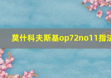 莫什科夫斯基op72no11指法