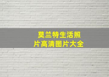 莫兰特生活照片高清图片大全