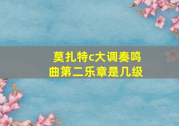 莫扎特c大调奏鸣曲第二乐章是几级