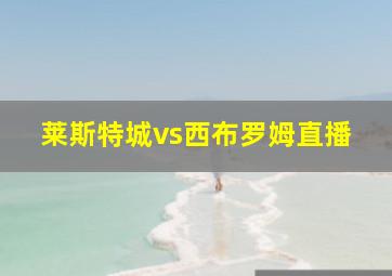 莱斯特城vs西布罗姆直播