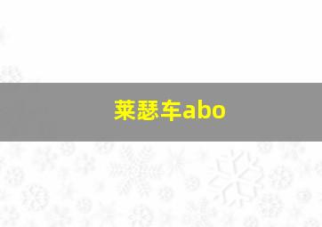 莱瑟车abo