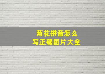 菊花拼音怎么写正确图片大全