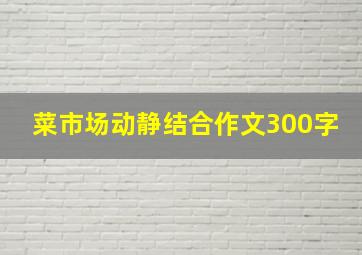 菜市场动静结合作文300字