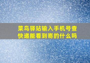 菜鸟驿站输入手机号查快递能看到寄的什么吗