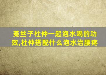 菟丝子杜仲一起泡水喝的功效,杜仲搭配什么泡水治腰疼