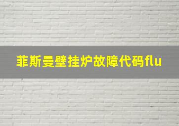 菲斯曼壁挂炉故障代码flu