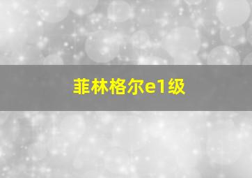 菲林格尔e1级