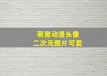 萌宠动漫头像二次元图片可爱