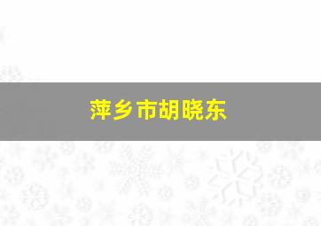 萍乡市胡晓东