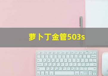 萝卜丁金管503s