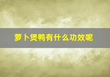 萝卜煲鸭有什么功效呢