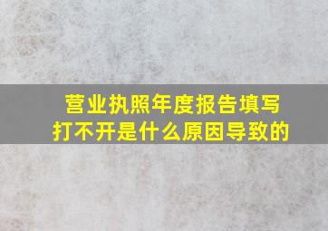 营业执照年度报告填写打不开是什么原因导致的