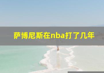 萨博尼斯在nba打了几年