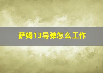 萨姆13导弹怎么工作