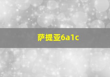 萨提亚6a1c