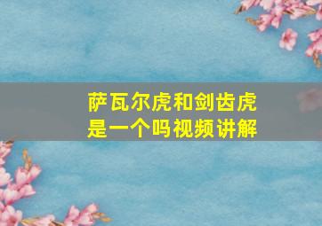 萨瓦尔虎和剑齿虎是一个吗视频讲解