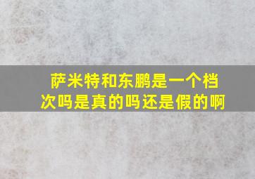 萨米特和东鹏是一个档次吗是真的吗还是假的啊