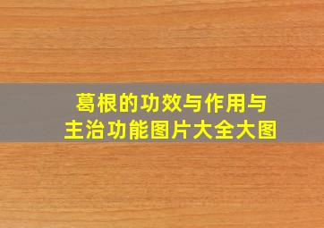 葛根的功效与作用与主治功能图片大全大图