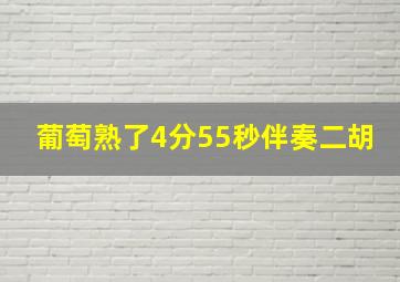 葡萄熟了4分55秒伴奏二胡