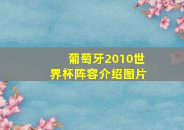 葡萄牙2010世界杯阵容介绍图片