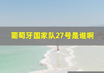 葡萄牙国家队27号是谁啊