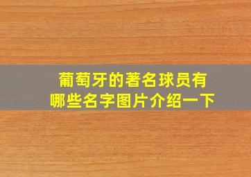 葡萄牙的著名球员有哪些名字图片介绍一下