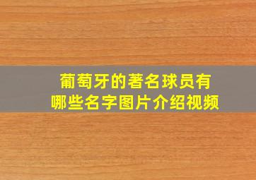 葡萄牙的著名球员有哪些名字图片介绍视频