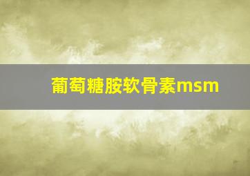 葡萄糖胺软骨素msm