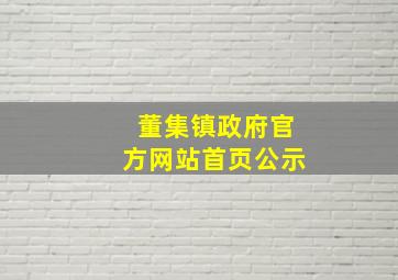 董集镇政府官方网站首页公示