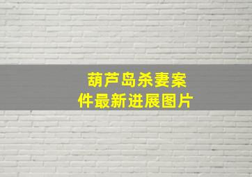 葫芦岛杀妻案件最新进展图片