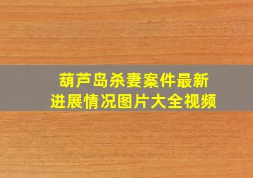 葫芦岛杀妻案件最新进展情况图片大全视频