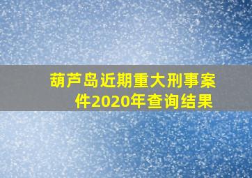 葫芦岛近期重大刑事案件2020年查询结果