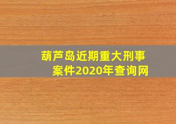 葫芦岛近期重大刑事案件2020年查询网