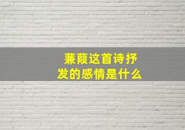 蒹葭这首诗抒发的感情是什么