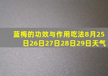 蓝梅的功效与作用吃法8月25日26日27日28日29日天气