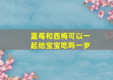 蓝莓和西梅可以一起给宝宝吃吗一岁