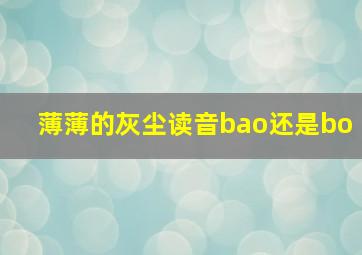 薄薄的灰尘读音bao还是bo