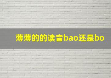 薄薄的的读音bao还是bo