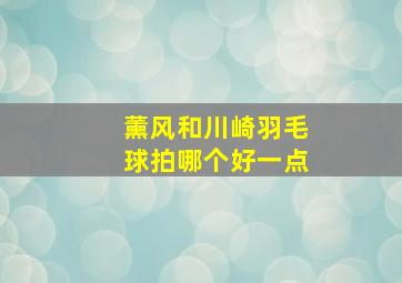 薰风和川崎羽毛球拍哪个好一点