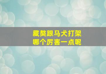 藏獒跟马犬打架哪个厉害一点呢