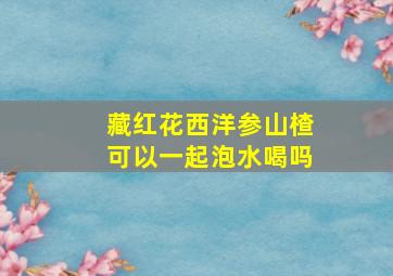 藏红花西洋参山楂可以一起泡水喝吗