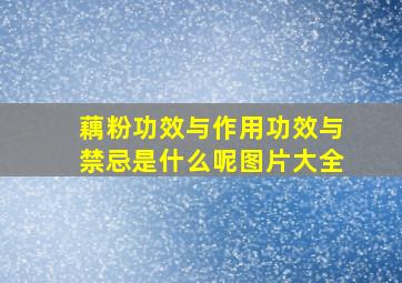 藕粉功效与作用功效与禁忌是什么呢图片大全