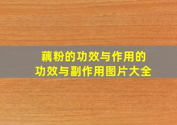 藕粉的功效与作用的功效与副作用图片大全