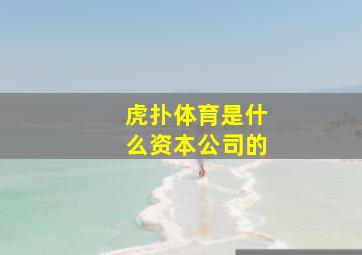 虎扑体育是什么资本公司的